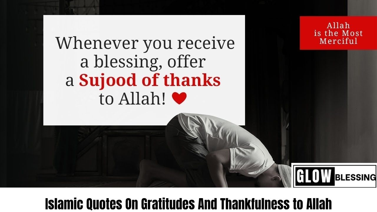 Islamic Quotes On Gratitudes And Thankfulness  to Allah